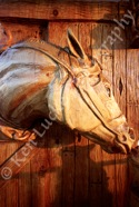 Carven Horse